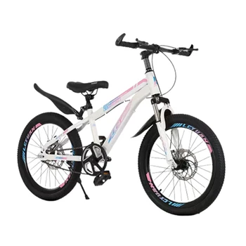 20 İnç Bisiklet Yüksek Karbonlu Çelik Çerçeve Dağlık çocuk bisikleti Ön Ve Arka Mekanik Çift disk Frenler Şok Emme