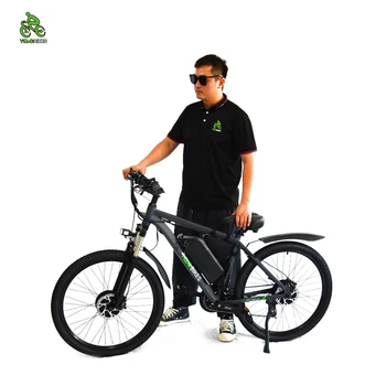 Yeni Stil Çift Motor48V20Ah 500 w+500 W Bisiklet Şehir Elektrikli Bisiklet