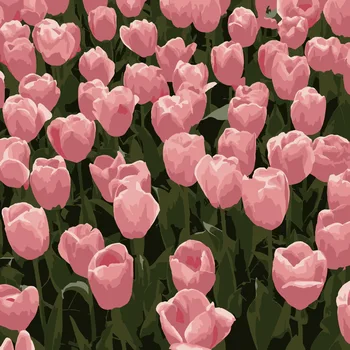 2416Ann-Tulip diy dijital yağlıboya yağlıboya akrilik çiçek boyama patlama el dolu manzara boyama