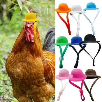 Sevimli Tavuk Şapka Düz Renk Ayarlanabilir Dize Yuvarlak Şekil Anti-düşen Hamster Kap Güzellik Malzemeleri