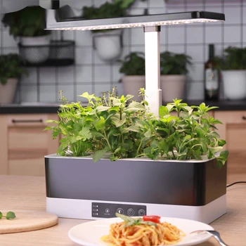 Minigarden mini kapalı bahçe kendini sulama büyümek led ekici pod akıllı ev hasat ışıklı bahçe